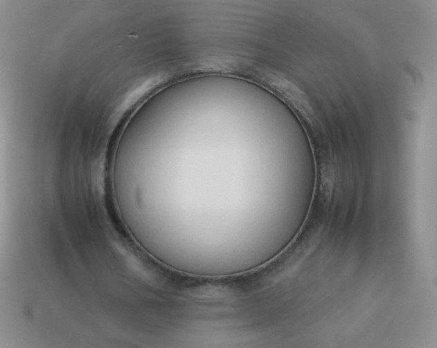 X0000114150578200910221548