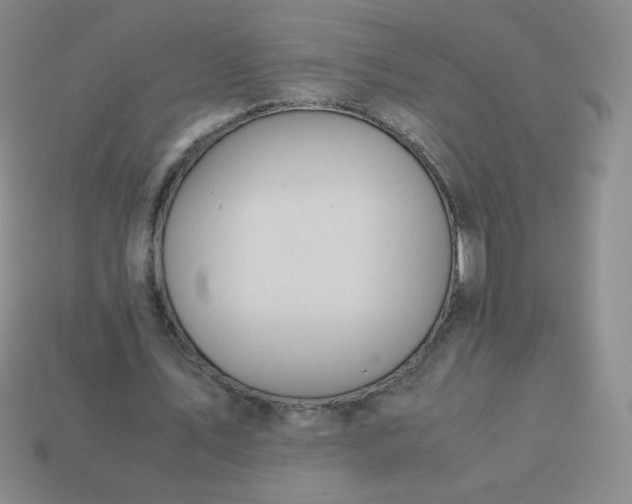 X0000114150579200910221548