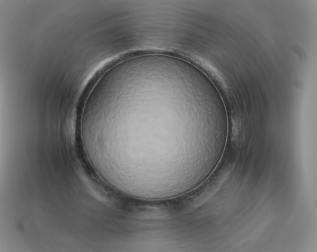 X0000114150580200910221548