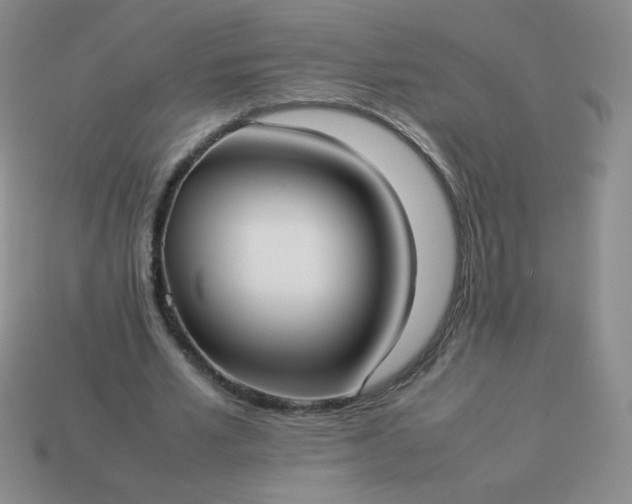 X0000114150581200910221548