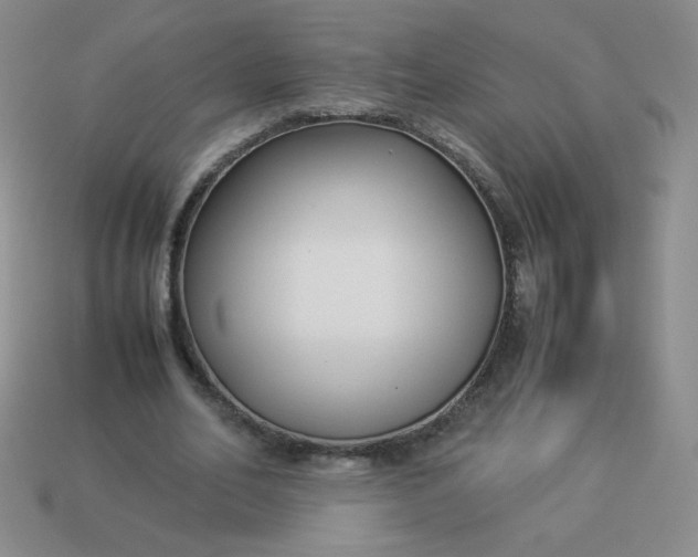 X0000114150582200910221548