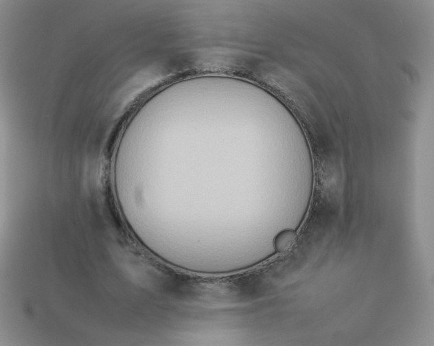 X0000114150583200910221548