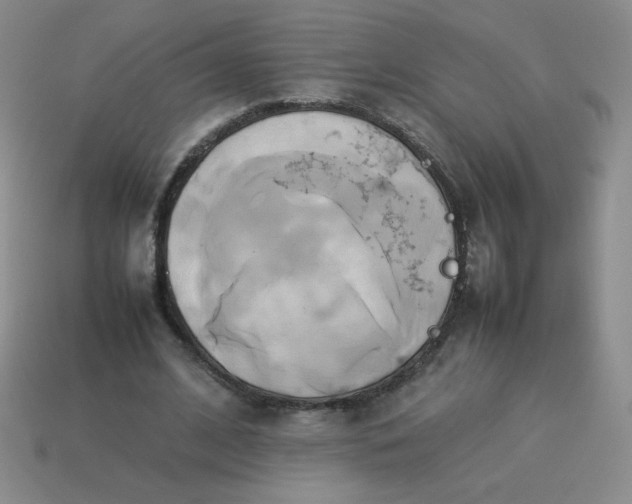 X0000114150584200910221548