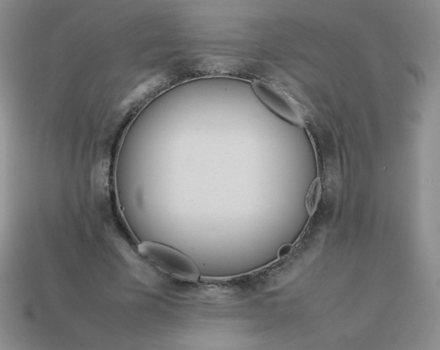 X0000114150585200910221548