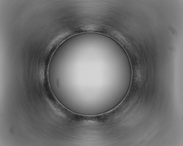 X0000114150586200910221548