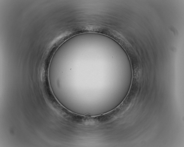 X0000114150587200910221548