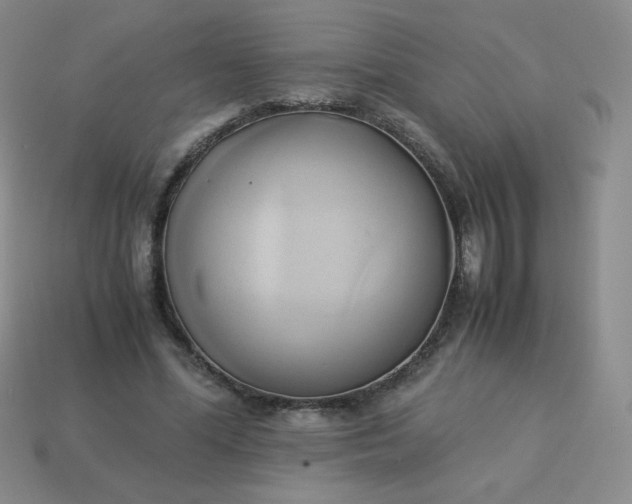 X0000114150588200910221548