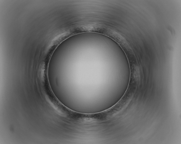 X0000114150590200910221548