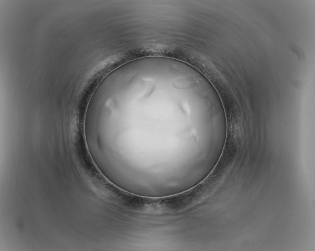 X0000114150591200910221548