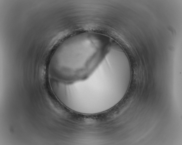 X0000114150592200910221548