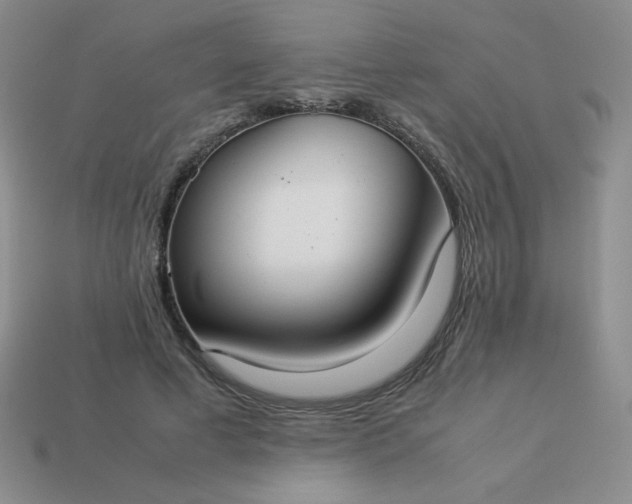 X0000114150593200910221548