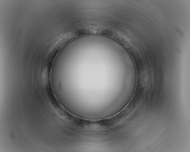 X0000114150594200910221548