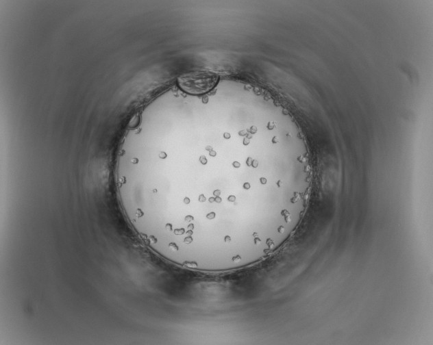 X0000114150595200910221548