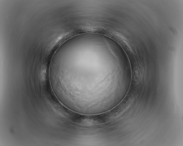 X0000114150596200910221548