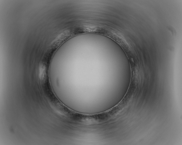 X0000114150598200910221548