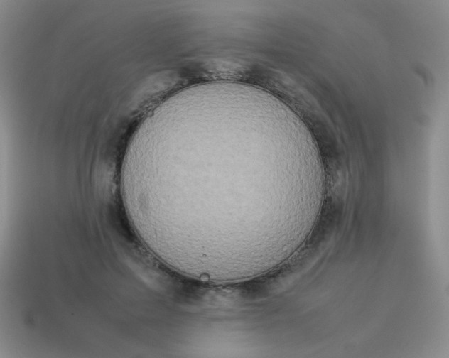 X0000114150599200910221548