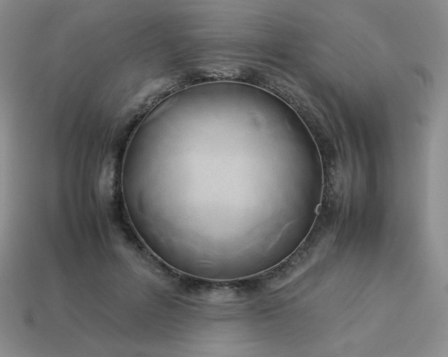 X0000114150600200910221548