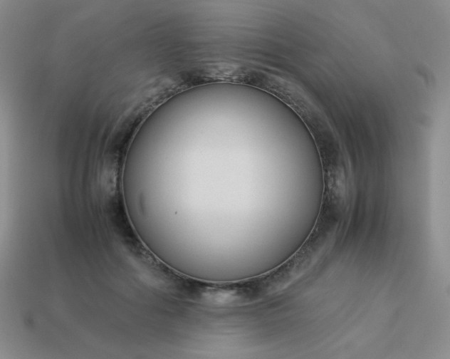 X0000114150602200910221548