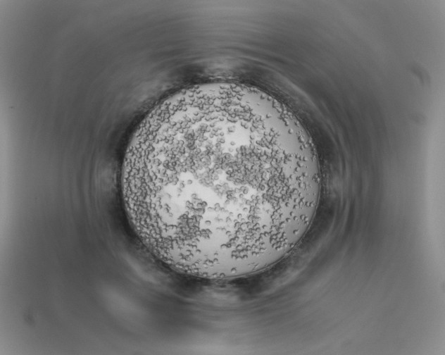 X0000114150603200910221548