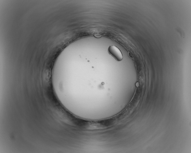 X0000114150605200910221548