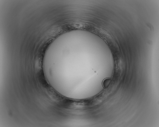 X0000114150606200910221548