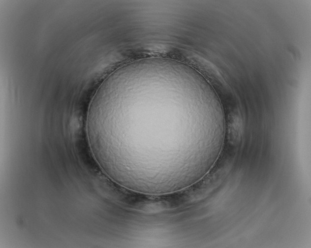 X0000114150608200910221548