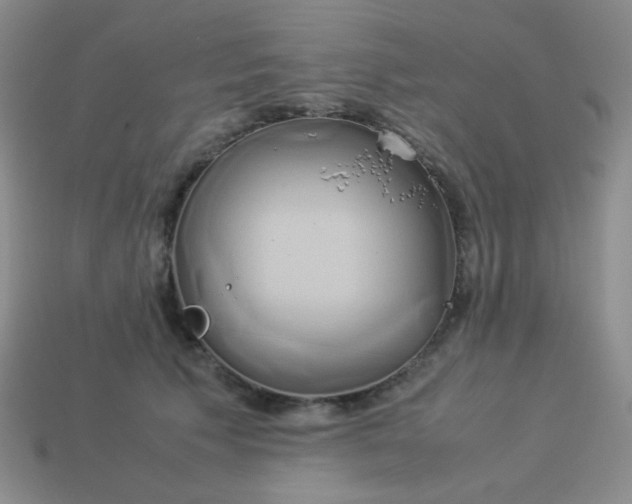 X0000114150609200910221548