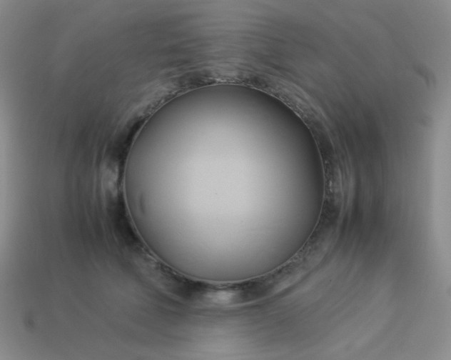 X0000114150610200910221548