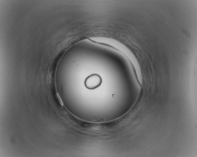 X0000114150611200910221548