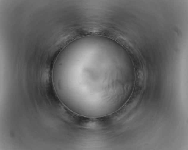 X0000114150612200910221548