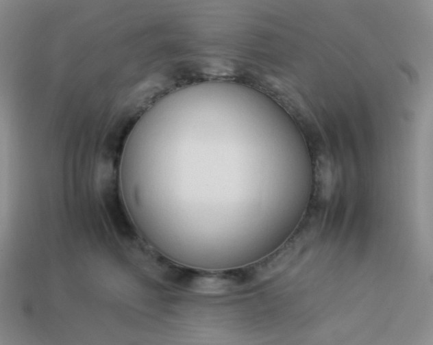 X0000114150614200910221548