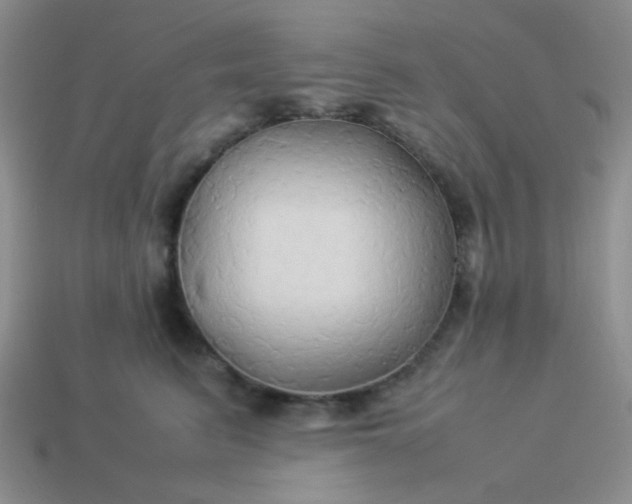 X0000114150615200910221548