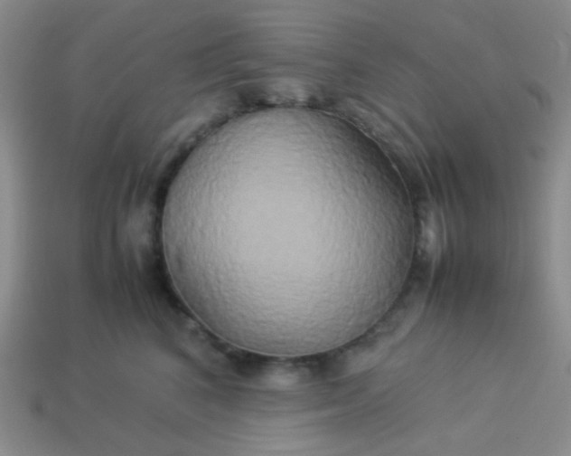 X0000114150616200910221548