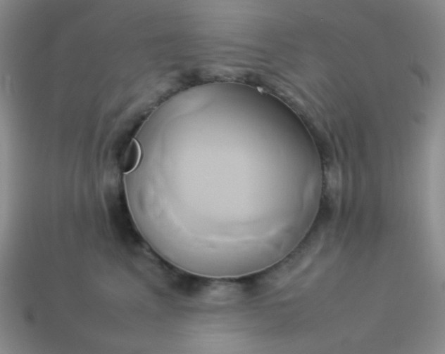 X0000114150617200910221548