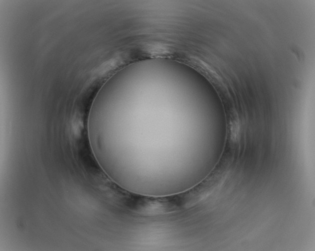 X0000114150618200910221548