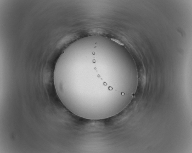 X0000114150619200910221548