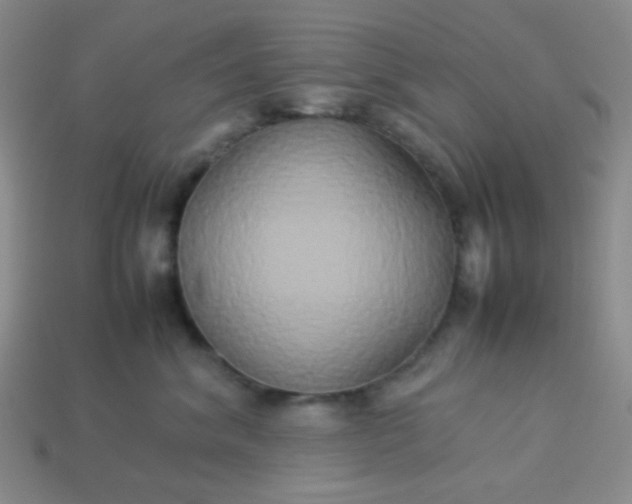 X0000114150620200910221548