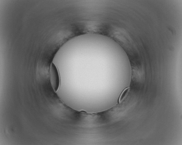 X0000114150621200910221548