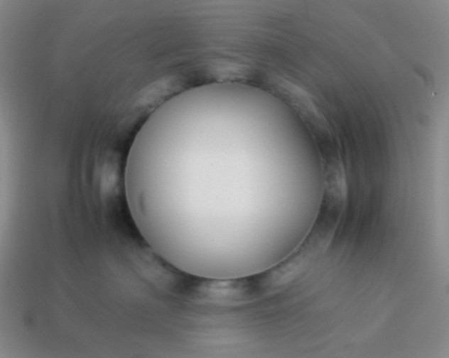 X0000114150622200910221548