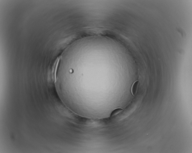 X0000114150624200910221548