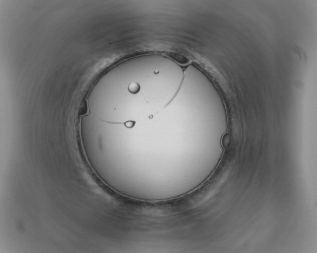 X0000114150625200910221547