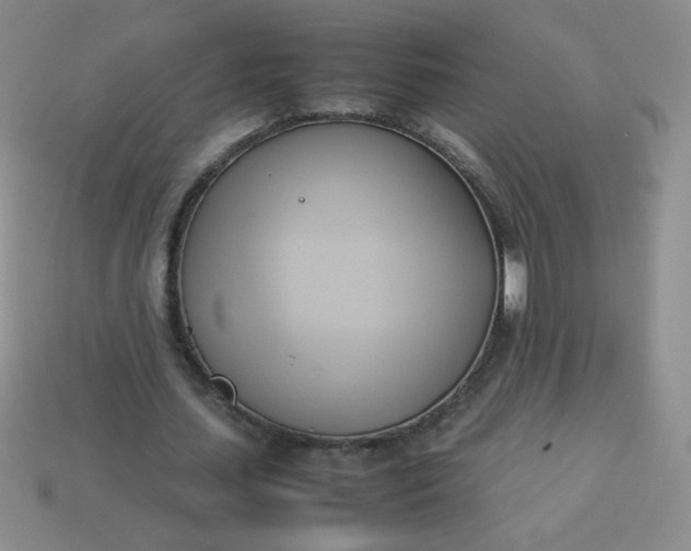 X0000114150627200910221547