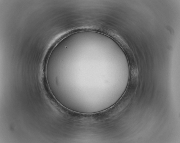 X0000114150628200910221547