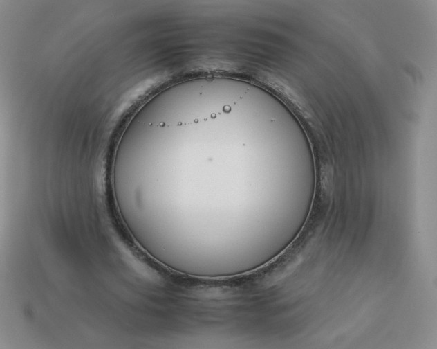 X0000114150629200910221547