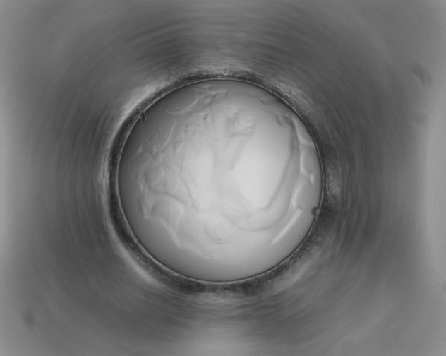 X0000114150630200910221547