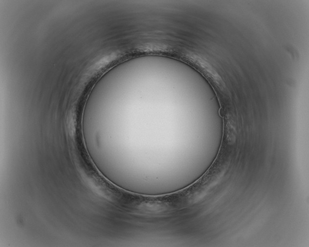 X0000114150631200910221547