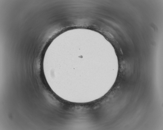 X0000114150632200910221547