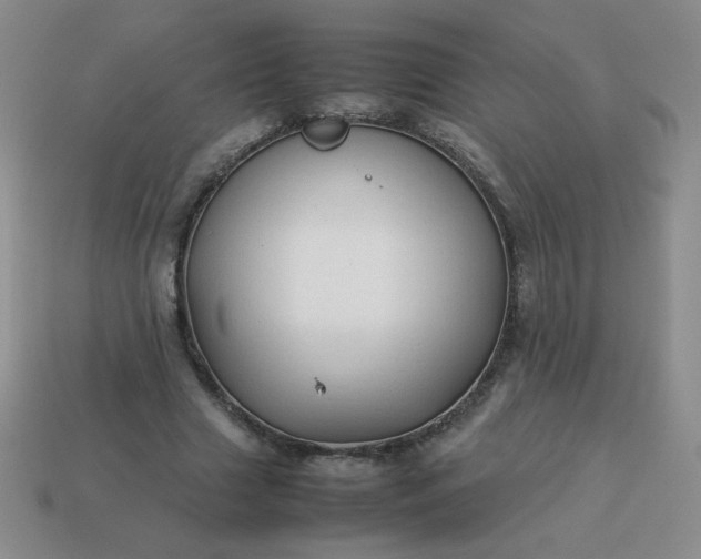 X0000114150633200910221547