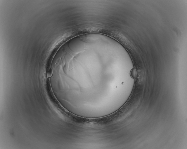 X0000114150634200910221547