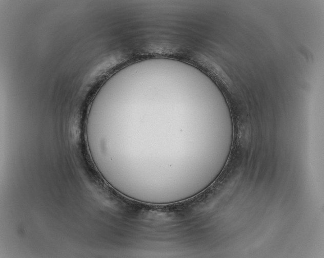 X0000114150635200910221547